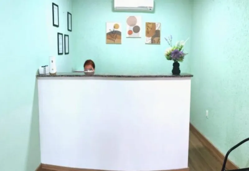 Estrutura da Paulicéia