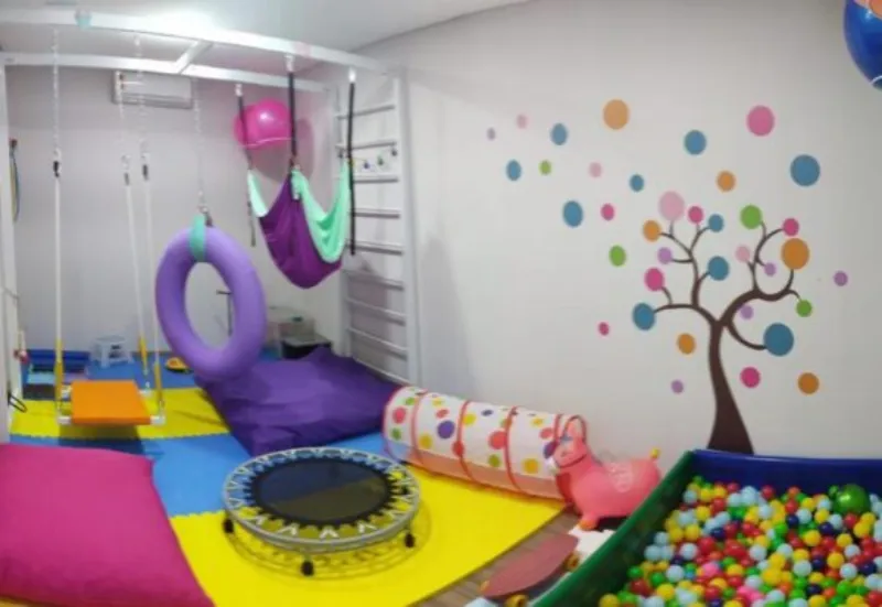 Estrutura da Paulicéia